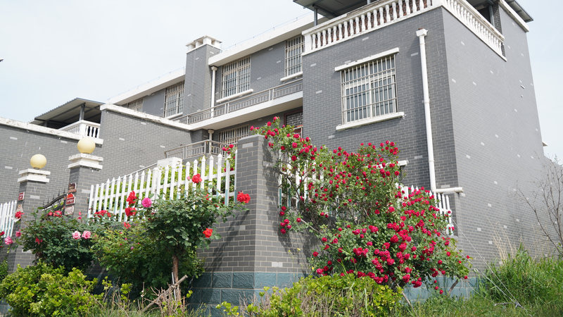 Madu_Village_Shines_with_Rural_Renewal_Along_the_Yellow_River