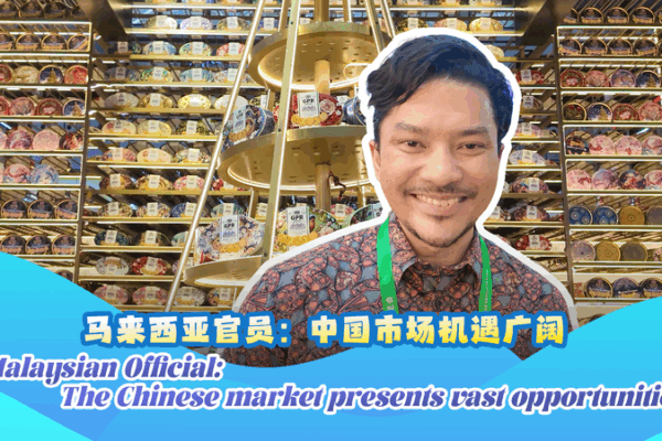 Malaysian_Official__Vast_Opportunities_in_the_Chinese_Mainland_Market video poster