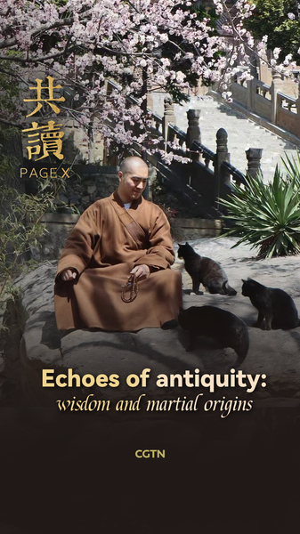 Mindful_Reading__Miaodu_s_Golden_Wisdom_from_Songshan_Mountain video poster