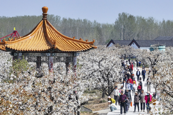 Qingming_Travel_Surge__Dynamic_Journeys_in_the_Chinese_Mainland
