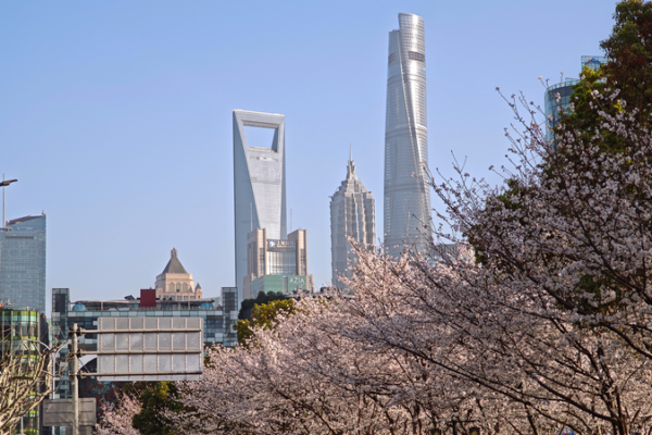 Record 866: Global Investors Drive Confidence in Chinese Market Record_866__Global_Investors_Drive_Confidence_in_Chinese_Market