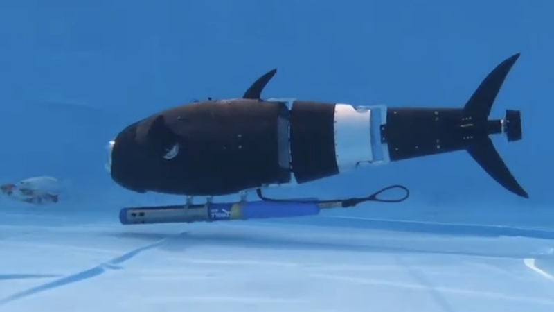 Robotic_Fish_Bring_AI_Precision_to_Aquaculture