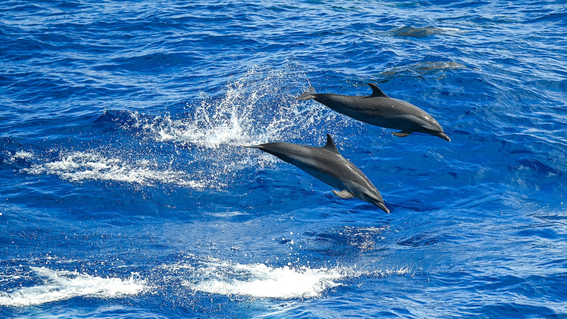 Shanghai_Forum_Paves_Way_for_a_Shared_Maritime_Future