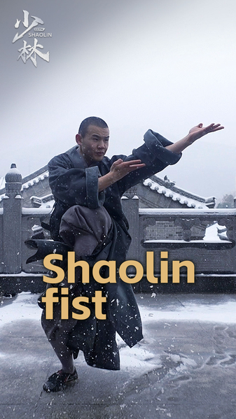 Shaolin_Kung_Fu__Inner_Energy_Unleashed video poster