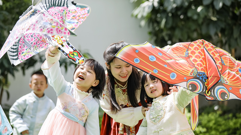 Soaring_Dreams__The_Global_Art_of_Kite_Flying