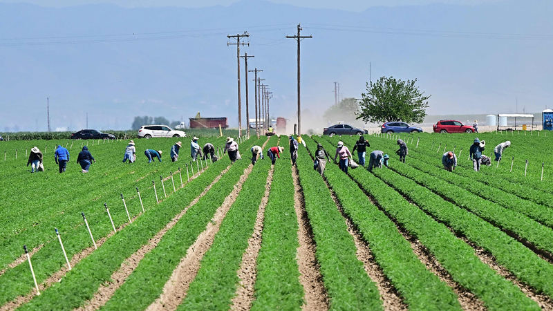 Tariffs Rock U.S. Farms Amid Global Trade Shocks Tariffs_Rock_U_S__Farms_Amid_Global_Trade_Shocks