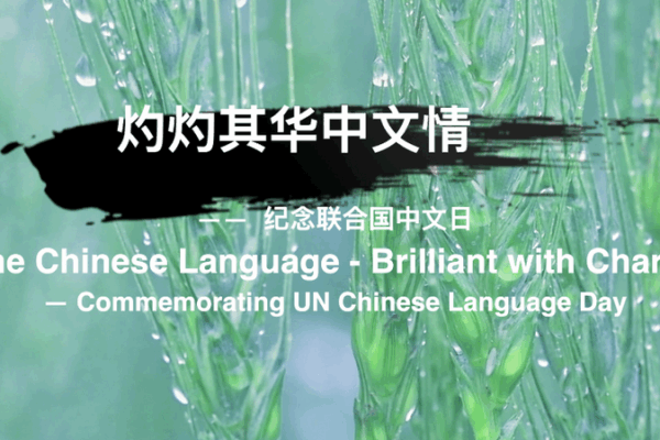 UN Chinese Language Day Celebrates Cangjie & Cultural Charm UN_Chinese_Language_Day_Celebrates_Cangjie___Cultural_Charm video poster