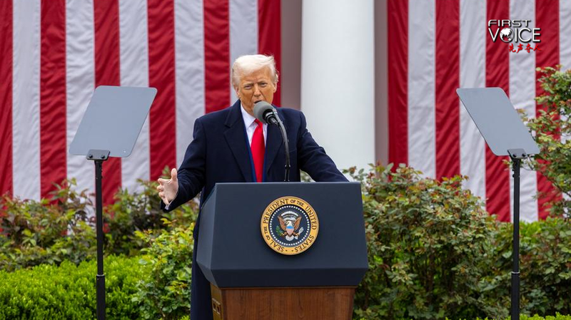 U_S__Tariffs__Self_Cure_or_Global_Gamble_