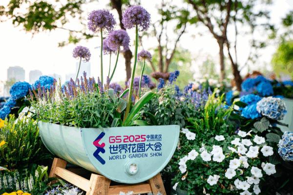Vibrant 2025 World Garden Show Blooms in Wuhan Vibrant_2025_World_Garden_Show_Blooms_in_Wuhan
