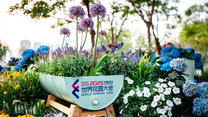 Vibrant_2025_World_Garden_Show_Blooms_in_Wuhan - News for amigos, by amigos Vibrant_2025_World_Garden_Show_Blooms_in_Wuhan