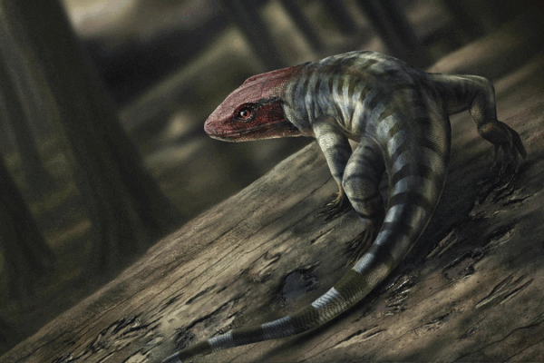 Ancient Footprints Rewrite Land Evolution Ancient_Footprints_Rewrite_Land_Evolution