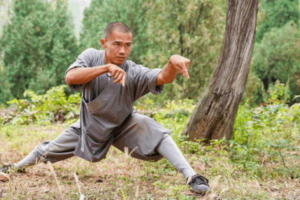 Animal-Imitation Boxing: Nature-Inspired Martial Wisdom Animal_Imitation_Boxing__Nature_Inspired_Martial_Wisdom