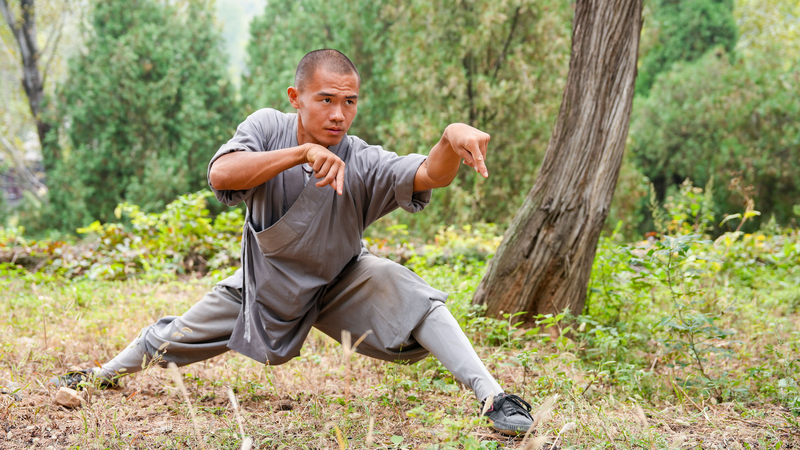 Animal_Imitation_Boxing__Nature_Inspired_Martial_Wisdom