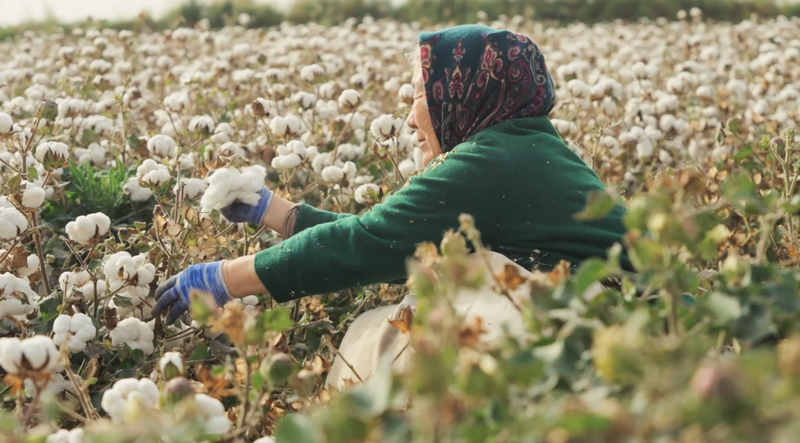 Awati_s_Cotton_Fields__Bridging_Cultures_on_Screen video poster
