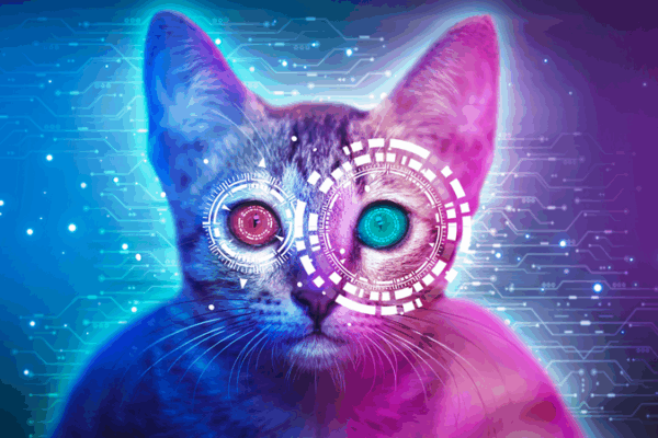 Baidu’s AI: Translating Pet Chatter to Human Language! Baidu_s_AI__Translating_Pet_Chatter_to_Human_Language_