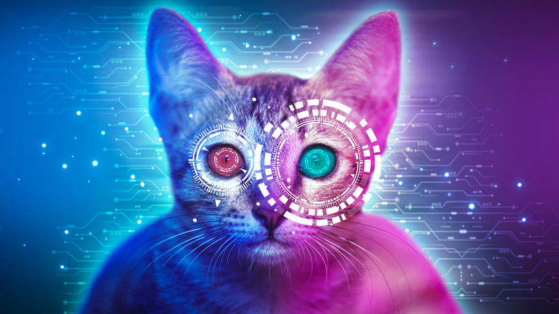 Baidu_s_AI__Translating_Pet_Chatter_to_Human_Language_