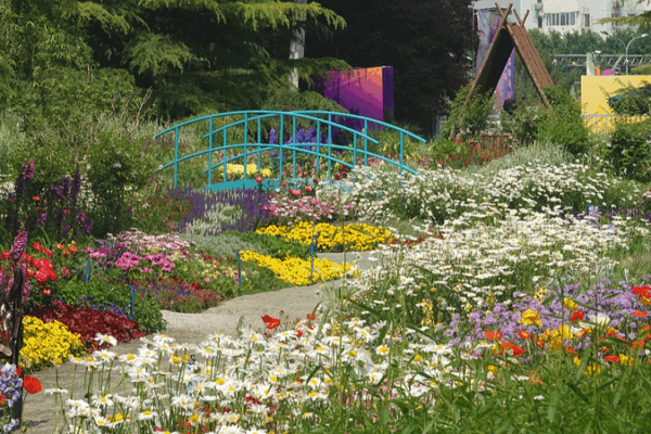 Beijing’s Haidian Park Blooms into a Living Monet Garden Beijing_s_Haidian_Park_Blooms_into_a_Living_Monet_Garden