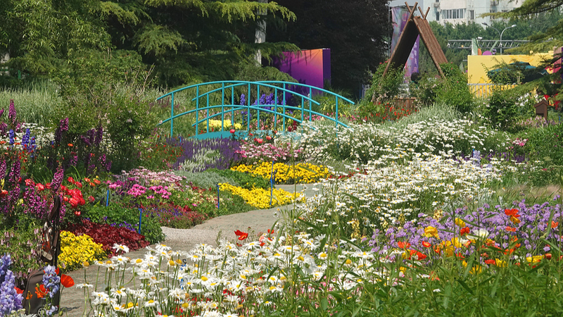 Beijing_s_Haidian_Park_Blooms_into_a_Living_Monet_Garden - News for amigos, by amigos Beijing_s_Haidian_Park_Blooms_into_a_Living_Monet_Garden