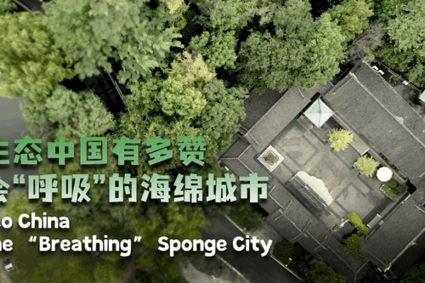 Bishan’s Breathing Urban Oasis: Sponge City Innovation Bishan_s_Breathing_Urban_Oasis__Sponge_City_Innovation video poster