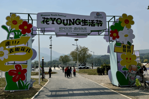 Blooms in Beijing: Roses, Heritage & Creative Living Blooms_in_Beijing__Roses__Heritage___Creative_Living video poster