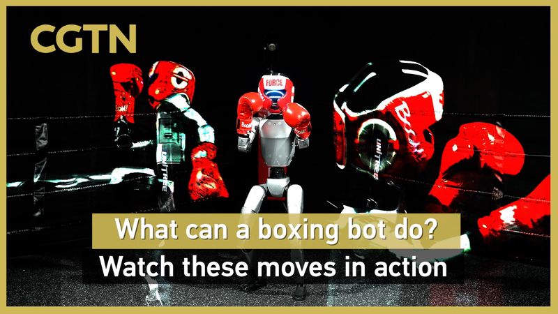 Boxing_Bots_in_Action__Futuristic_Moves_in_Hangzhou_poster - News for amigos, by amigos Boxing_Bots_in_Action__Futuristic_Moves_in_Hangzhou video poster