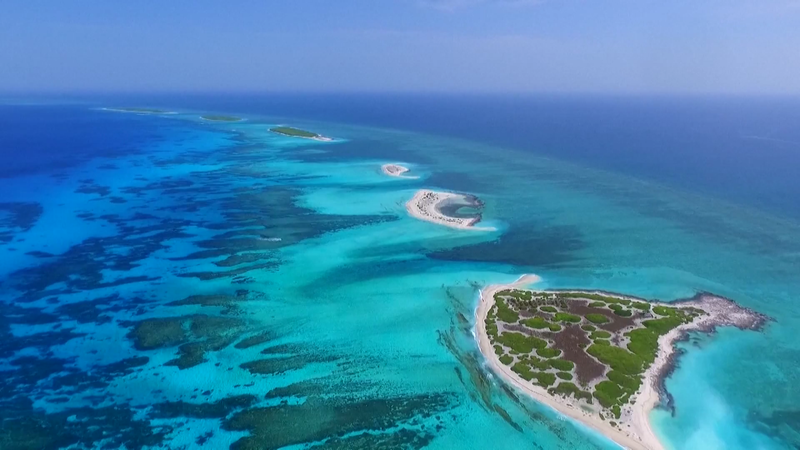 China_Coast_Guard_Acts_on_Reef_Infringements - News for amigos, by amigos China_Coast_Guard_Acts_on_Reef_Infringements