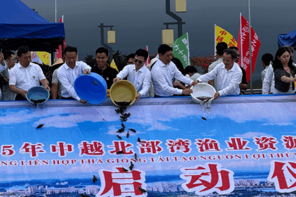 China & Vietnam Unite to Revive Marine Life in Beibu Gulf China___Vietnam_Unite_to_Revive_Marine_Life_in_Beibu_Gulf video poster