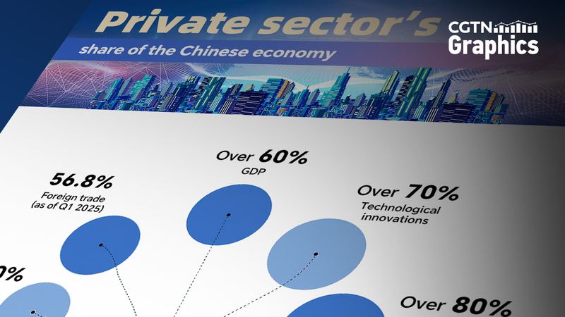 China_s_New_Private_Sector_Law_Unlocks_Economic_Potential