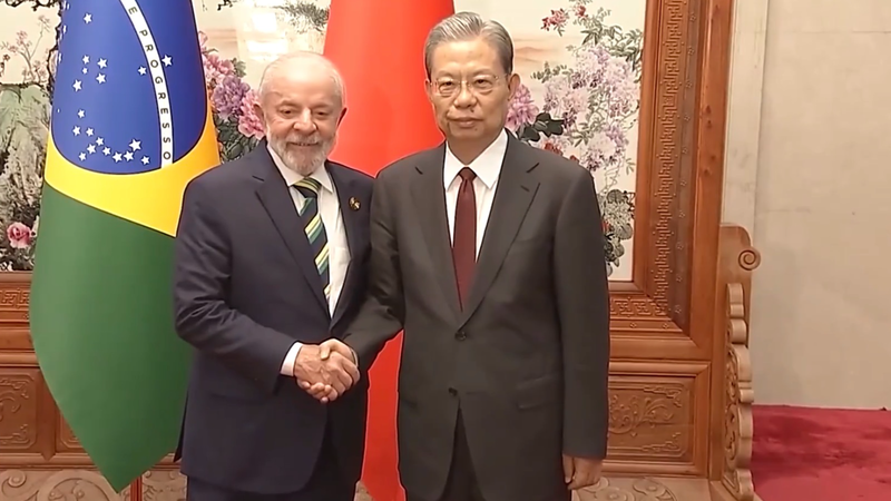 Chinese_Legislator_Meets_Brazil_Leader_in_Beijing