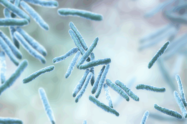 Chinese Scientists Engineer Bacteria to Clean Toxic Wastewater Chinese_Scientists_Engineer_Bacteria_to_Clean_Toxic_Wastewater