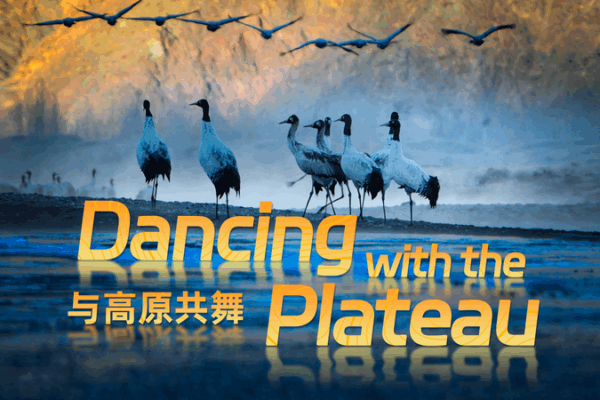 Dancing with the Plateau: A Breathtaking 4K Nature Journey Dancing_with_the_Plateau__A_Breathtaking_4K_Nature_Journey video poster