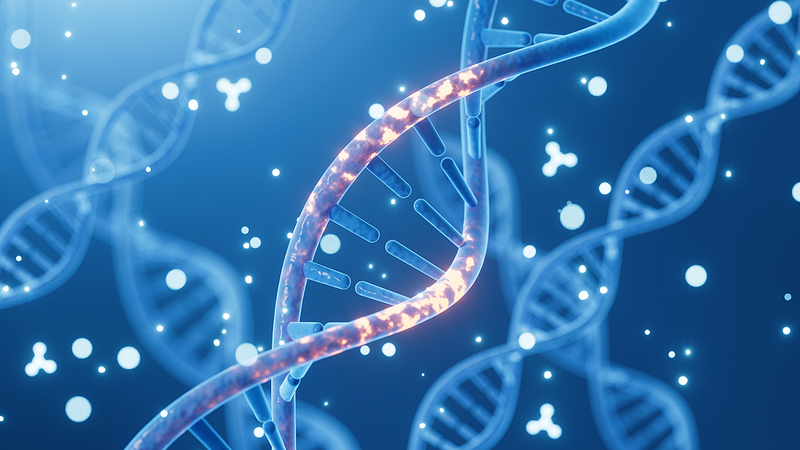 Double Gene Variant Ups Dementia Risk in Men: Australian Study Double_Gene_Variant_Ups_Dementia_Risk_in_Men__Australian_Study