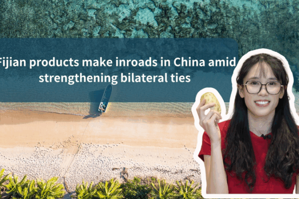 Fijian Delights Ride the Wave in the Chinese Mainland Fijian_Delights_Ride_the_Wave_in_the_Chinese_Mainland video poster