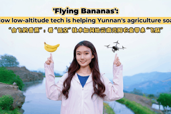 Flying Bananas: Drones Revamp Yunnan Agriculture Flying_Bananas__Drones_Revamp_Yunnan_Agriculture video poster