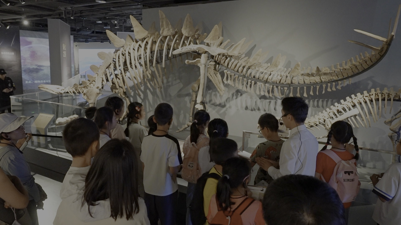 From_Owl_Pellets_to_Big_Ideas__Chinese_Museums_as_Classrooms_poster - News for amigos, by amigos From_Owl_Pellets_to_Big_Ideas__Chinese_Museums_as_Classrooms video poster