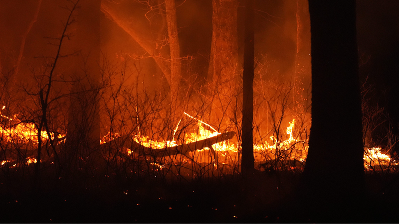 Climate Wildfire Smoke Kills Thousands, Costs $160B – New US Study