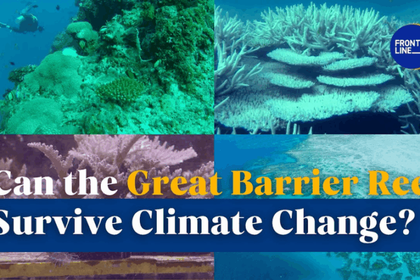 Great Barrier Reef Battles Climate Change Great_Barrier_Reef_Battles_Climate_Change video poster