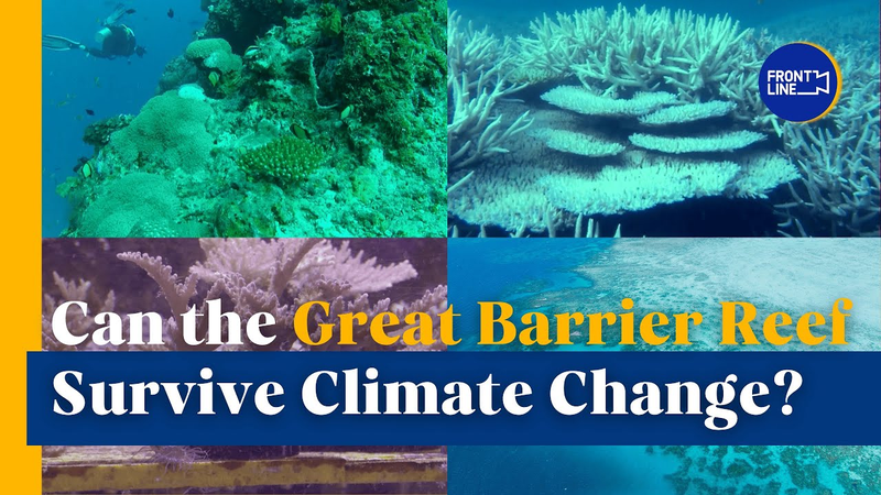 Great_Barrier_Reef_Battles_Climate_Change video poster