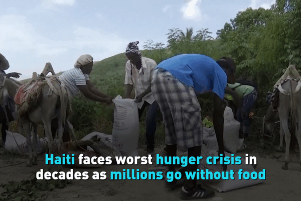 Haiti_Faces_Worst_Hunger_Crisis_in_Decades_poster - News for amigos, by amigos Haiti_Faces_Worst_Hunger_Crisis_in_Decades video poster