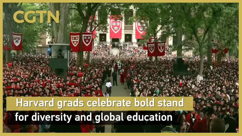 Harvard_Grads_Champion_Diversity___Global_Education_poster - News for amigos, by amigos Harvard_Grads_Champion_Diversity___Global_Education video poster