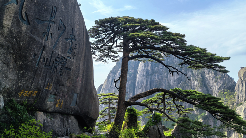 Huangshan Scenic Marvels Boost Tourism Huangshan_Scenic_Marvels_Boost_Tourism