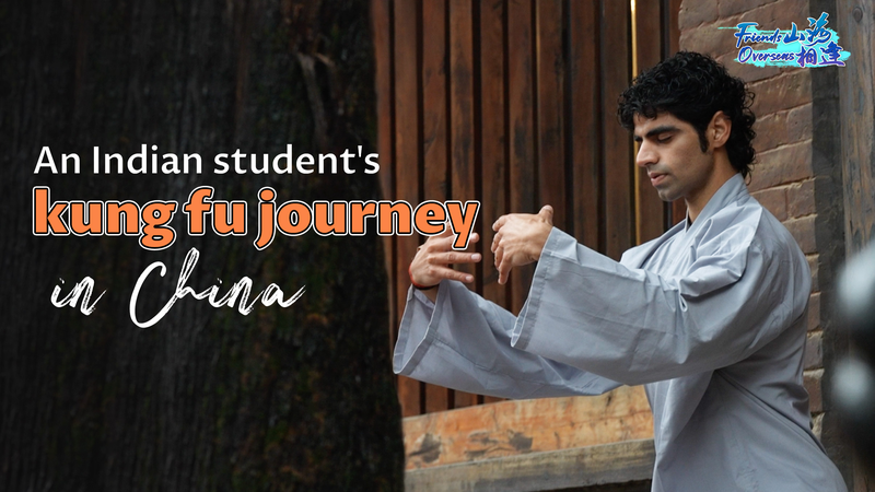 Indian_Student_s_Epic_Kung_Fu_Quest video poster