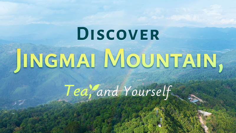 Jingmai_Mountain__A_Timeless_Journey_of_Tea_and_Tranquility_poster - News for amigos, by amigos Jingmai_Mountain__A_Timeless_Journey_of_Tea_and_Tranquility video poster
