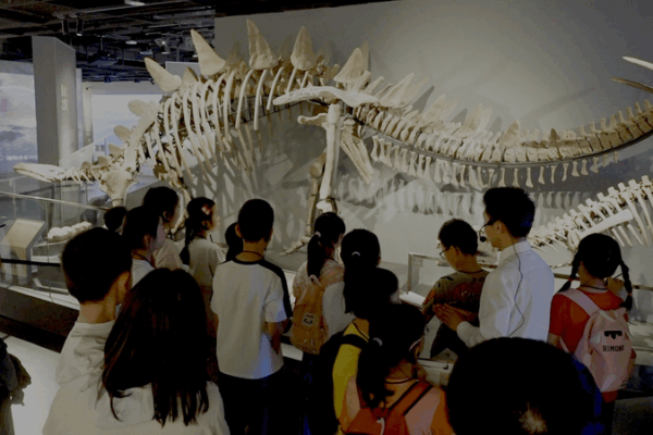 Live from Sichuan: Transforming Museum Culture with Crafts & STEAM Live_from_Sichuan__Transforming_Museum_Culture_with_Crafts___STEAM video poster