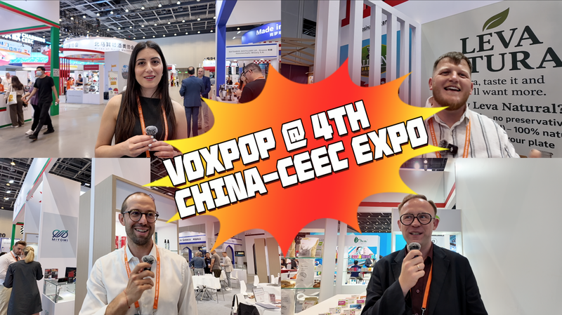 Local_Secrets__Ultimate_Central___Eastern_Europe_Travel_Guide video poster