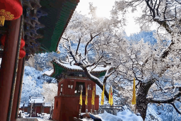 Majestic Rime Wonderland at Hengshan Mountain Majestic_Rime_Wonderland_at_Hengshan_Mountain video poster