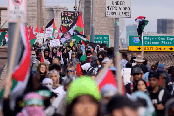 NYC Protests Mark 77th Nakba Anniversary NYC_Protests_Mark_77th_Nakba_Anniversary video poster
