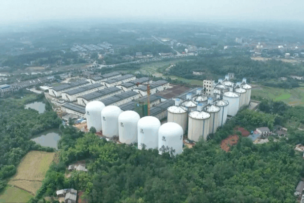 Next-Gen Pneumatic Granaries Revolutionize Food Storage Next_Gen_Pneumatic_Granaries_Revolutionize_Food_Storage video poster