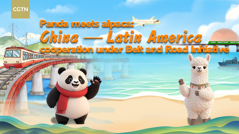 Panda & Alpaca Unite: 10 Years of China-Latin America Growth Panda___Alpaca_Unite__10_Years_of_China_Latin_America_Growth video poster