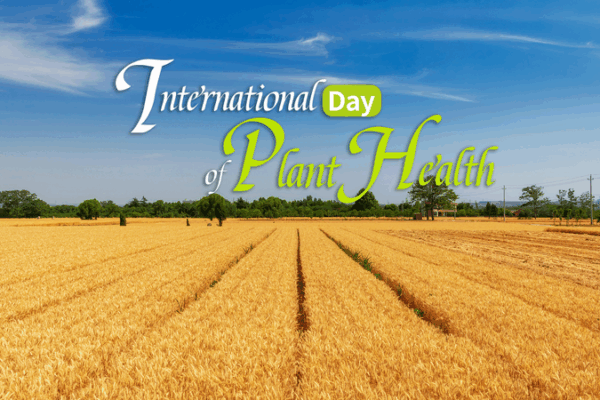 Plant Health Matters: Celebrating International Day of Plant Health Plant_Health_Matters__Celebrating_International_Day_of_Plant_Health